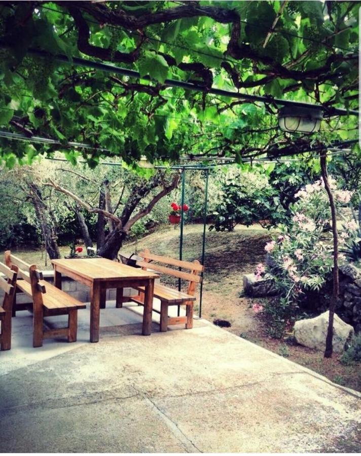Villa Divna Labin  Dış mekan fotoğraf